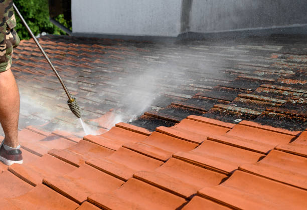 Best Affordable Power Washing  in North Valley, NM