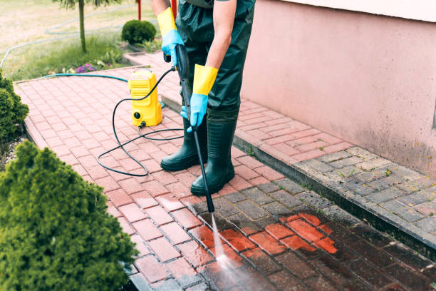 Best Pressure Washing Siding  in North Valley, NM