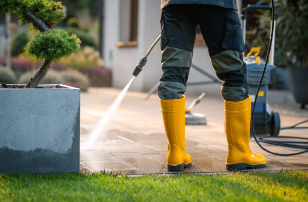 Best Local Pressure Washing Services  in North Valley, NM